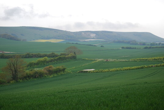 Overcast Sky Stormy Grey Clouds English British Rolling Lush Green Hill Countryside Fields & Farmland Travel Photography Landscape Vista Bright Shades & Tones of Green & Yellow