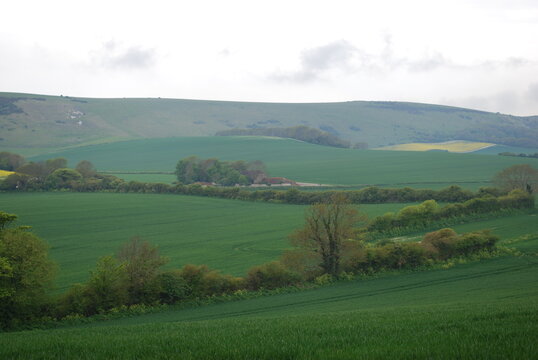 Overcast Sky Stormy Grey Clouds English British Rolling Lush Green Hill Countryside Fields & Farmland Travel Photography Landscape Vista Bright Shades & Tones of Green & Yellow Tree Lines