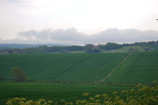 Overcast Sky Stormy Grey Clouds English British Rolling Lush Green Hill Countryside Fields & Farmland Travel Photography Landscape Vista Bright Shades & Tones of Green & Yellow Flowers in Forefront