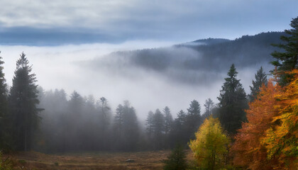 mystical autumn fog in black forest germany enchanting landscape with rising fog autumnal trees and firs panoramic banner in dark autumn mood