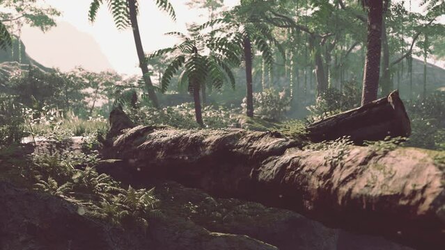tropical jungles of South East Asia