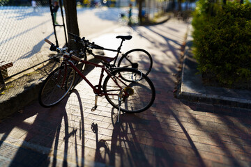 夕暮れ時の公園２