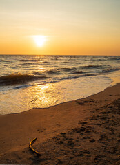 Landscape viewpoint vertical  summer sea wind wave cool holiday calm coastal sunset sky light orange golden evening day look calm Nature tropical Beautiful sea water travel Bangsaen Beach thailand