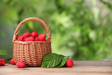 Wicker basket with tasty ripe raspberries and leaves on wooden table against blurred green...