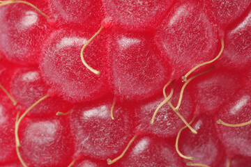 Texture of ripe raspberry as background, macro view. Fresh berry
