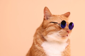 Portrait of cute ginger cat in stylish sunglasses on beige background. Space for text