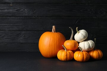 Thanksgiving day. Beautiful composition with pumpkins on table against black wooden wall, space for text