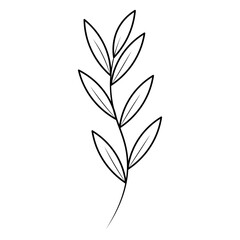 Leaf Line Illustration