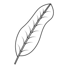 Leaf Line Illustration