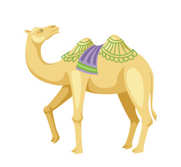 Indian camel with saddle concept. Animal with traditional indian clothes. African mammal, egyptian transport. Template and layout. Cartoon flat vector illustration isolated on white background