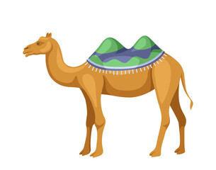 Indian camel with saddle concept. Animal with traditional indian clothes. Fauna and wild life. Social media sticker. Cartoon flat vector illustration isolated on white background