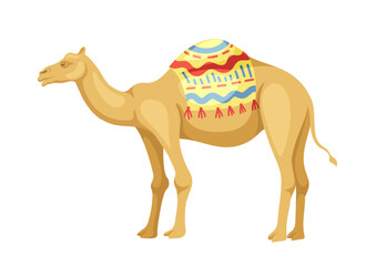Indian camel with saddle concept. Animal with traditional indian clothes. Traditional african caravan transport. Poster or banner. Cartoon flat vector illustration isolated on white background