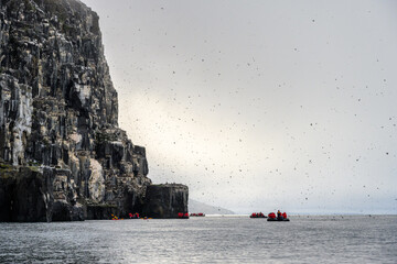 Small boats of tourists watching Brunnich's Guillemots nesting on bird cliffs on Mount Guillemot on...