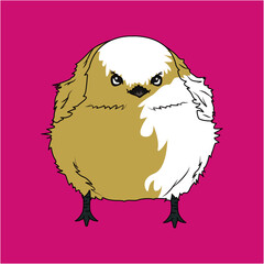 小鳥（small bird）(ai)