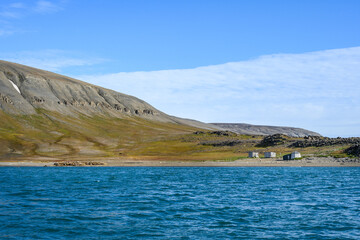 Group of Atlantic Walrus resting on the beach next to historic hunters cabins at Kapp Lee, arctic...