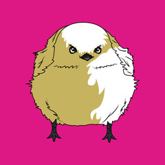 小鳥（small bird）