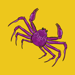 蟹（crab）
