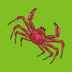 蟹（crab）