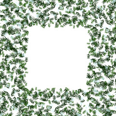 Fototapeta premium winter frame with leaves branch and snowfall border