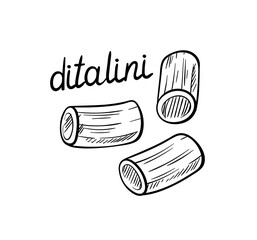 Pasta line concept. Ditalini shape of macaroni. Traditional italian cuisine and kitchen. Dinner and breakfast. Poster or banner. Linear flat vector illustration isolated on white background