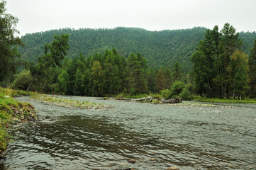 Stone islands in the middle of the channel of a small river flowing through a dense forest at the foot of high mountains on a cloudy summer day.