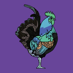 ニワトリ（chicken）