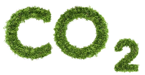 Fotobehang Ecology word CO2 carbon dioxide made of grass in 3d render image symbol concept on white background © CHIC studio