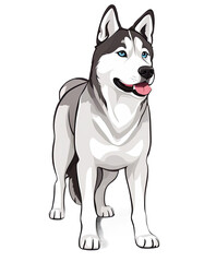 Siberian Husky Clipart png dog clipart printable Siberian Husky head, transparent illustration, 300 dpi for tshirt, mug, stickers, tumbler
