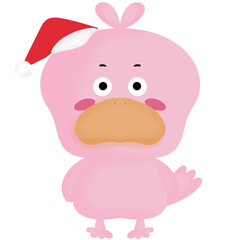Pink duck