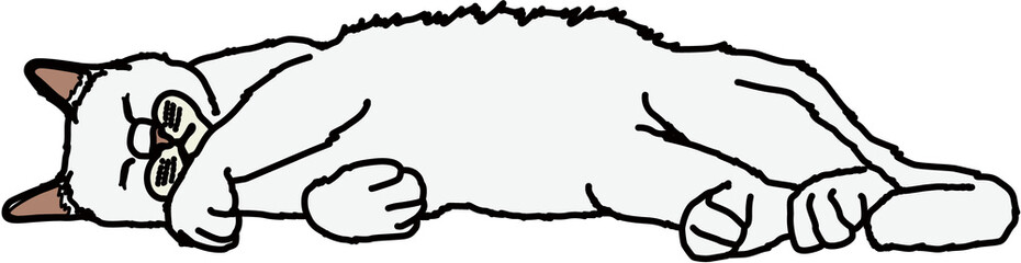 寝ている猫（Sleeping cat）(PNG)