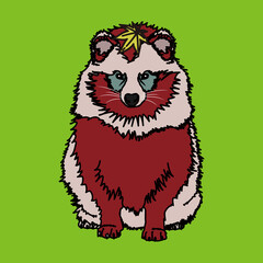 狸（raccoon dog）