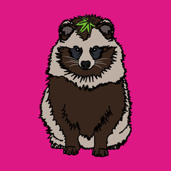 狸（raccoon dog）