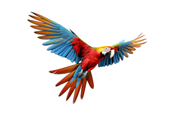 colorful scarlet macaw parrot flying beautifully isolated on a transparent background. Generative AI - obrazy, fototapety, plakaty
