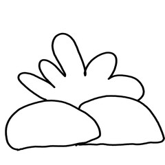 grass growing on rocks