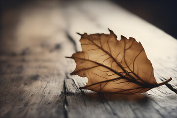 dry leaves on wooden table