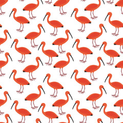vector drawing vector drawing seamless pattern with bird, hand drawn scarlet ibis,hand drawn natural background