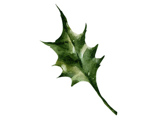 Fototapeta premium Christmas green leaf watercolor illustration