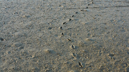 The sea shore view with the tide down and the sunset sky background