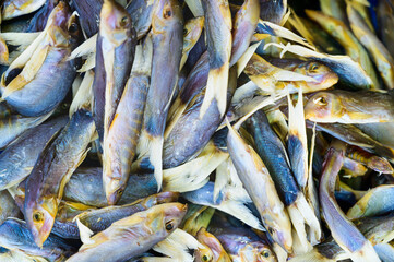 Sun dried fish