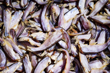 Sun dried fish