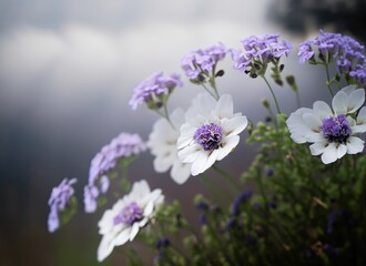 Fototapeta premium Purple flowers bloom under the fallen snow. Parting snow in spring. Ai generated.