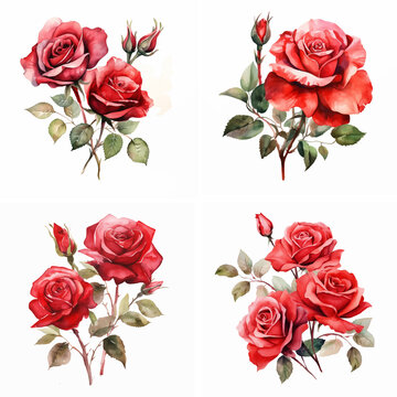 set of red roses invitation painting border graphic drawing love wedding elegant illustration romantic wallpaper