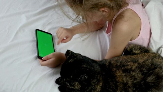 A child looks at a green screen on a phone. A black cat sits nearby. Chromed green screen. Communication, game or cartoon on the phone