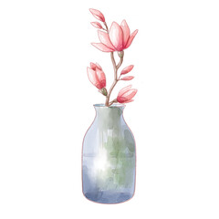 magnolia flower in vase watercolor isolated transparent background