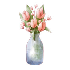 pink tulips in vase watercolor isolated transparent background