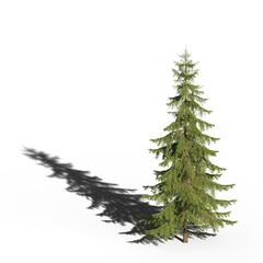 Obraz premium big tree, isolate on a transparent background, 3d illustration
