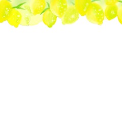 手描きレモンのかわいいイラストフレーム