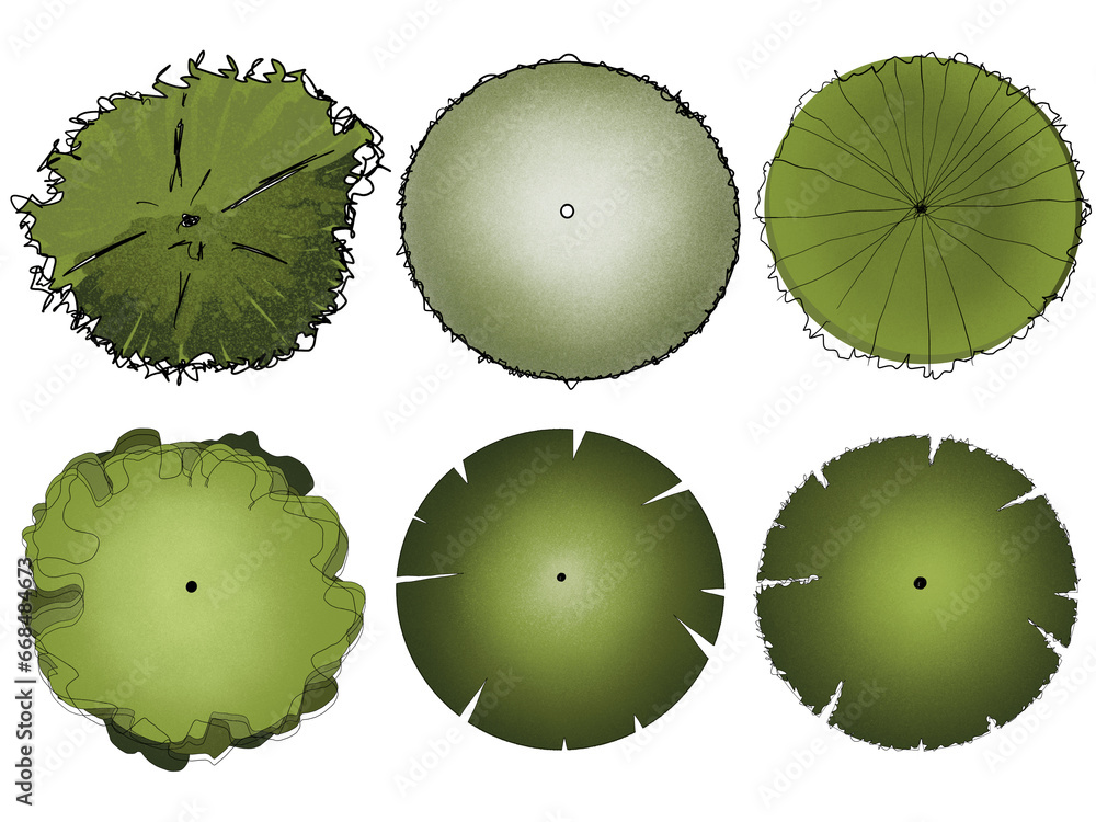 Wall mural set of tree top view for landscape plan and architecture element