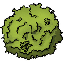 Tree top view for landscape plan and architecture element
