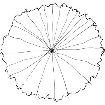 recommend clip art: Tree top view for landscape plan and architecture element